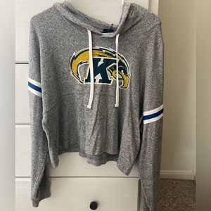 Kent State cropped hoodie